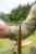8kom - Stoperi Korum Camo Line Stoppers