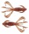 8ks - Gumena Mamac Keitech Crazy Flapper 2" 5cm 0,7gr Ebimiso Red Copper