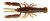 8ks - Gumená Nástraha Savage Gear 3D Crayfish Rattling 6,7cm 2,9g Brown Orange