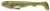 8ks - Gumová Nástraha Crazy Fish Tough 5cm 1 Olive