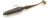 8ks - Gumová Nástraha Keitech Swing Bait 2,8" 7cm 2,2gr Electric Chart Shad