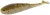 8ks - Gumová Nástraha M-Craft Baby Shad 7,5cm Pumpkin Pearl