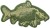 Amblem Delphin CARP