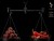 Balansirani Boilies Delphin BreaX/HotHELL Robin Red-Chilli-Fr.Klobása