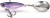 Blyskáč Quantum 4Street Baitfish Jigy Spin-Jig 10g Baitfish