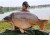 Boilie Dynamite Baits Robin Red