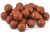 Boilies Anaconda Magist Robin Red 16mm 3kg