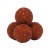 Boilies Avid Carp Krill