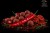 Boilies Delphin BreaX HotHELL Robin Red-Chilli-Fr.Klobása