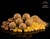 Boilies Delphin BreaX NutCAKE Tygří ořech-Scopex-Sladká kukuřice