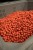 Boilies KWO Candy Cream 5kg