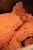 Boilies KWO Candy Cream 5kg