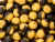 Boilies LK Baits DUO X-Tra Nutric Acid/Pineapple 800gr Promjer 14mm