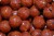Boilies LK Baits Euro Economic Chilli Squid 5kg Priemer 24mm