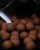 Boilies Mainline Shelf Life The Link 20mm 1kg