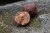 Boilies Mivardi Rapid Champion Platinum Sea Akcija 2+1