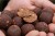 Boilies Mivardi Rapid Champion Platinum Sea