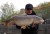 Boilies Mivardi Rapid Easy Catch Anglická Jahoda 3,3kg