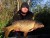 Boilies Mivardi Rapid Easy Catch Anglická Jahoda