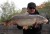 Boilies Mivardi Rapid Easy Catch Česnek & Chilli