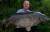 Boilies Mivardi Rapid Excellent Kapří Guláš 3,3kg + Kanta za hranu Rapid Box