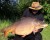 Boilies Mivardi Rapid Excellent Kapří Guláš 3,3kg + Kanta za hranu Rapid Box
