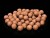 Boilies Sportcarp Liver Protein Squid