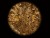 Boilies Sportcarp Liver Protein Squid