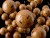 Boilies v Dipe Delphin BreaX/NutCAKE Tigrie Orech-Scopex-Sladká Kukurica