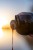 10kg Boilies KWO Krill Special 15mm + Booster GRATIS
