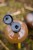 10kg Boilies KWO Krill Special 15mm + Booster GRATIS
