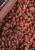 Boosterirani Peletni mix KWO Special Pellets 2,5kg