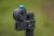 Brojač Preston Offbox Clicker Counter