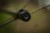 Bušeći držač štapa Black Cat Drill Spike Bank Stick