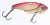 Cikada Jaxon Holo Reflex Switch Blade Lures Veličina 1