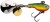 Cikada mamac Berkley Pulse Spintail 14 g Firetiger