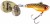 Cikada mamac Berkley Pulse Spintail 28 g Dark n Dirty Roach