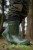Čizme Korum Thermalite EVA Welly Boot