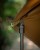 Deštník Fox 60" Brolly