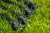 Dodatne noge Preston Roller & Roost Leg Extenders za roler
