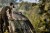 Držač za Štapove Trakker Tempest Multi-Rod Support