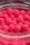 Dumbelli Sonubaits Spike'um Wafter