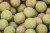 Dumbelli Sonubaits Spike'um Wafter