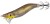 EGI Mamac Shimano Sephia Clinch Flash Boost 1.8Gou 10g 017 Mackerel