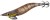 EGI Nástraha Shimano Sephia Clinch Flash Boost 3.0Gou 15g 026 Prawn
