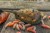 Feeder hranilica Korum Camo Grub Feeder