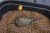 Feeder hranilica Korum Camo Grub Feeder