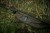 Futrola za Štap Aqua Products Black Series Full Rod Sleeve 10ft
