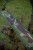 Futrola za Štap Wychwood HD Tactical Rod Sleeve
