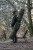 Futrola za štapove Korum Progress Folding Holdall 196cm